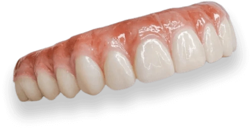 Teeth Image